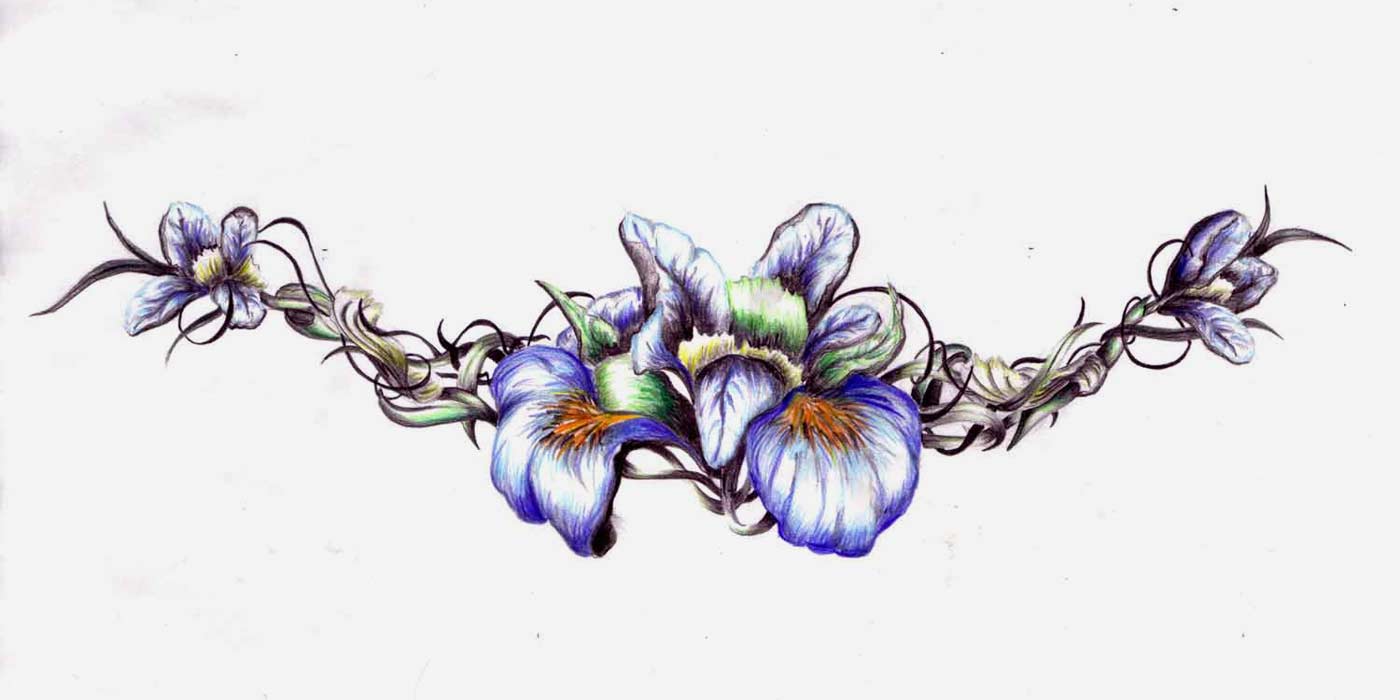 Tegning af blomster med blyant og farveblyant