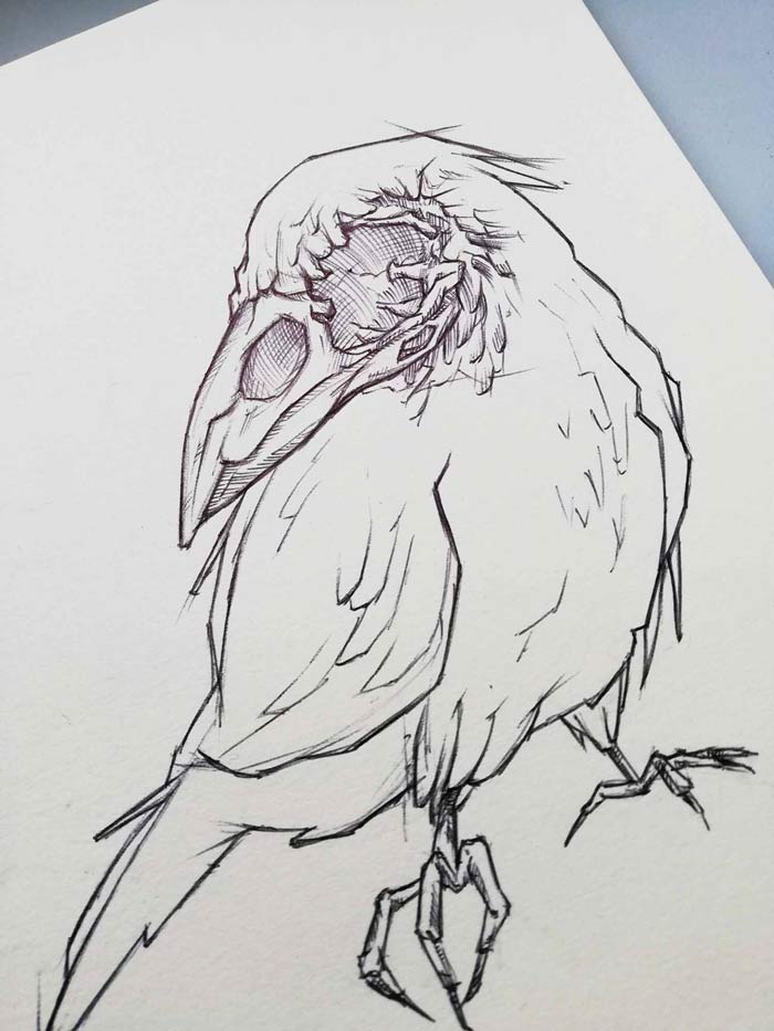 Illustration til t-shirts af tegner