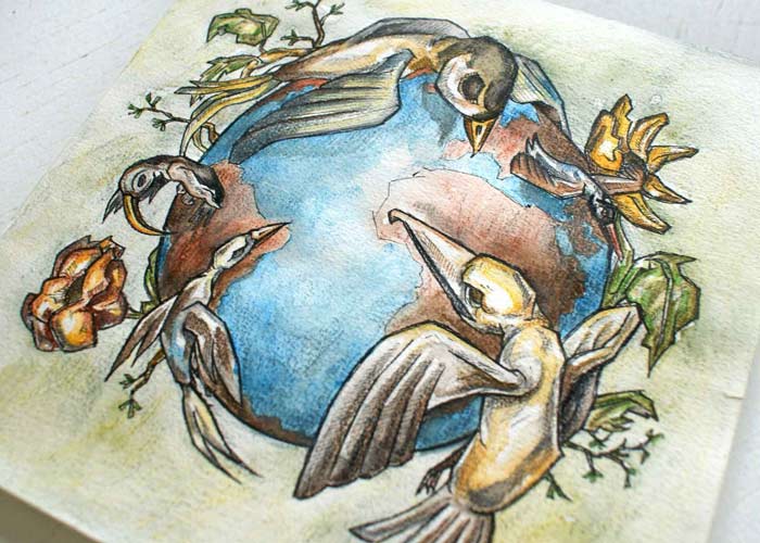 Professionel freelance illustrator og tegner Jakob i tegner fugle og planeten